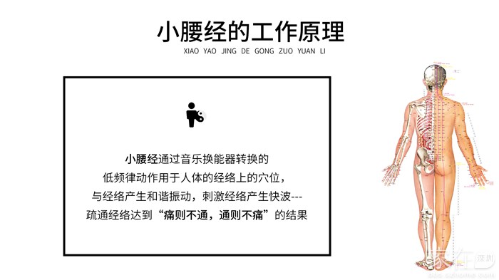 小腰經的工作原理